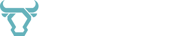 Toro Digital Logo